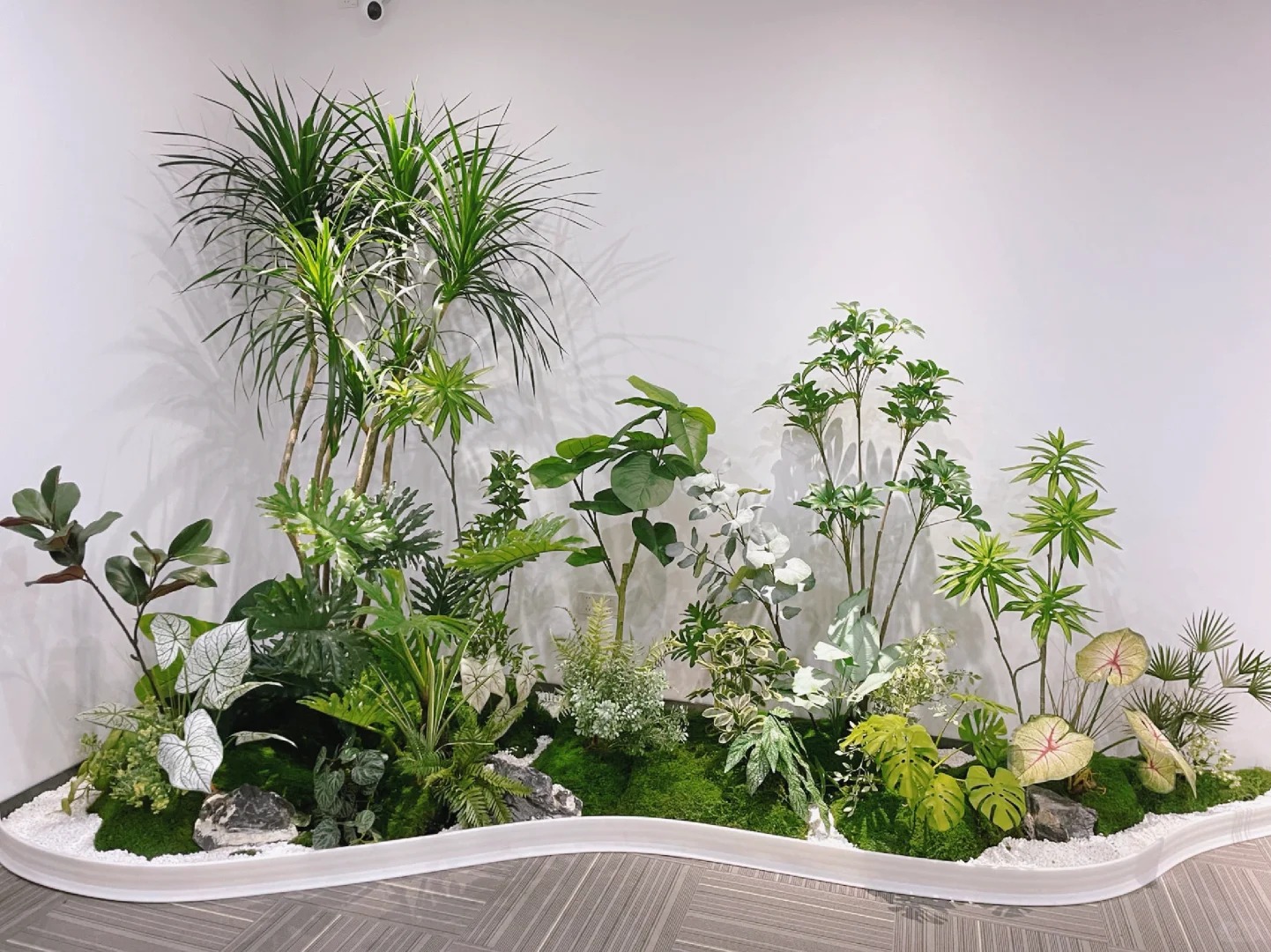 专业植物出租,宁波杭州湾的绿色空间缔造者